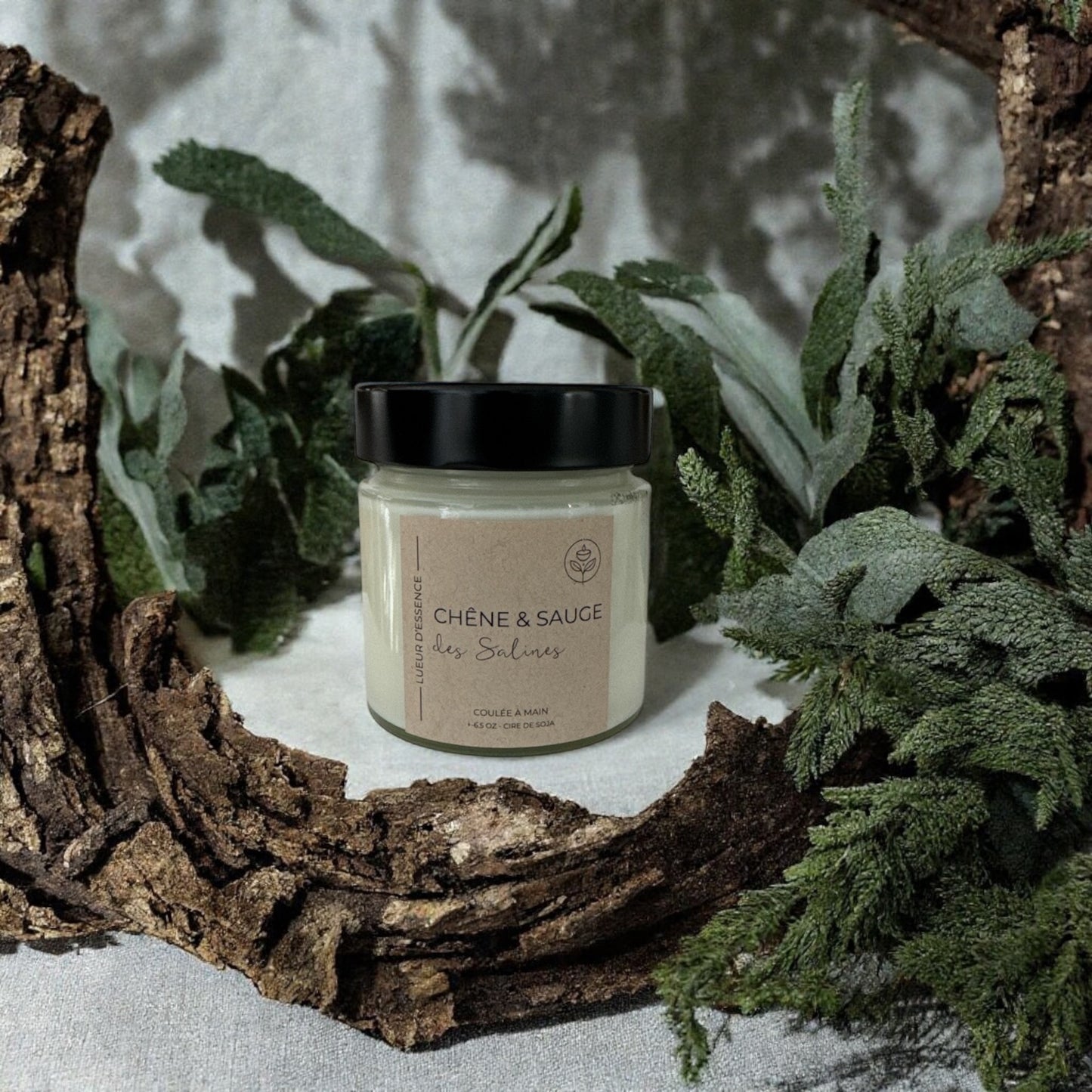 Chêne & sauge des salines