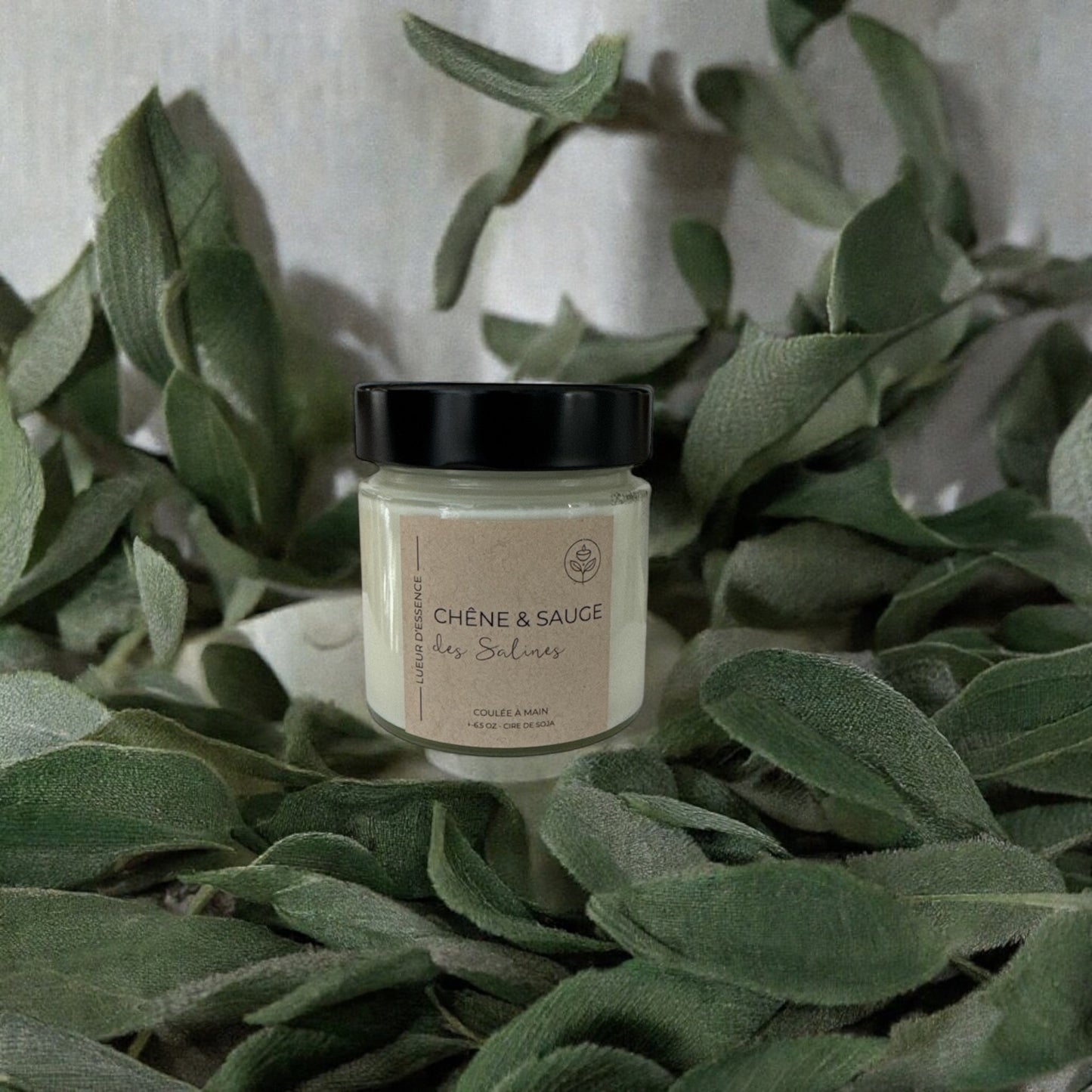 Chêne & sauge des salines