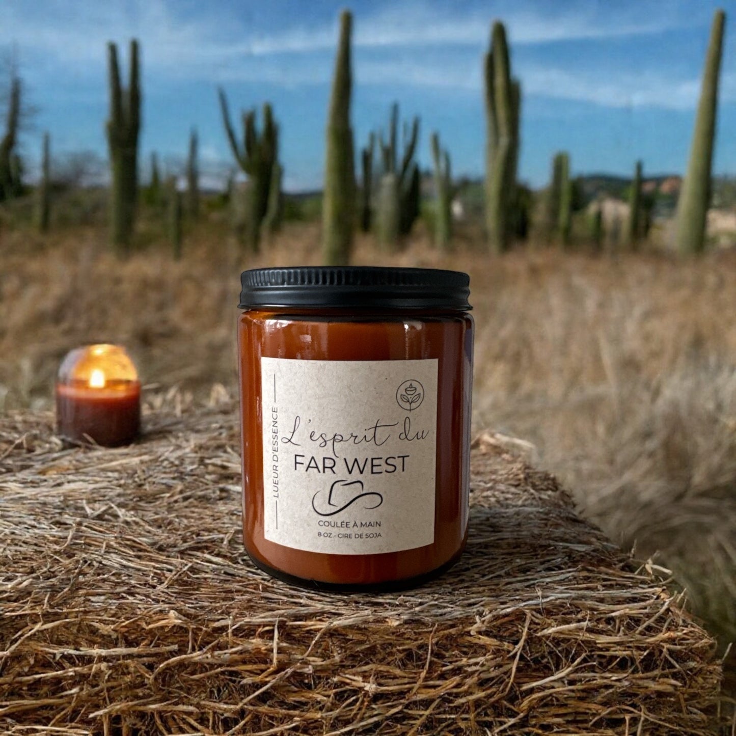 L'esprit du Far West