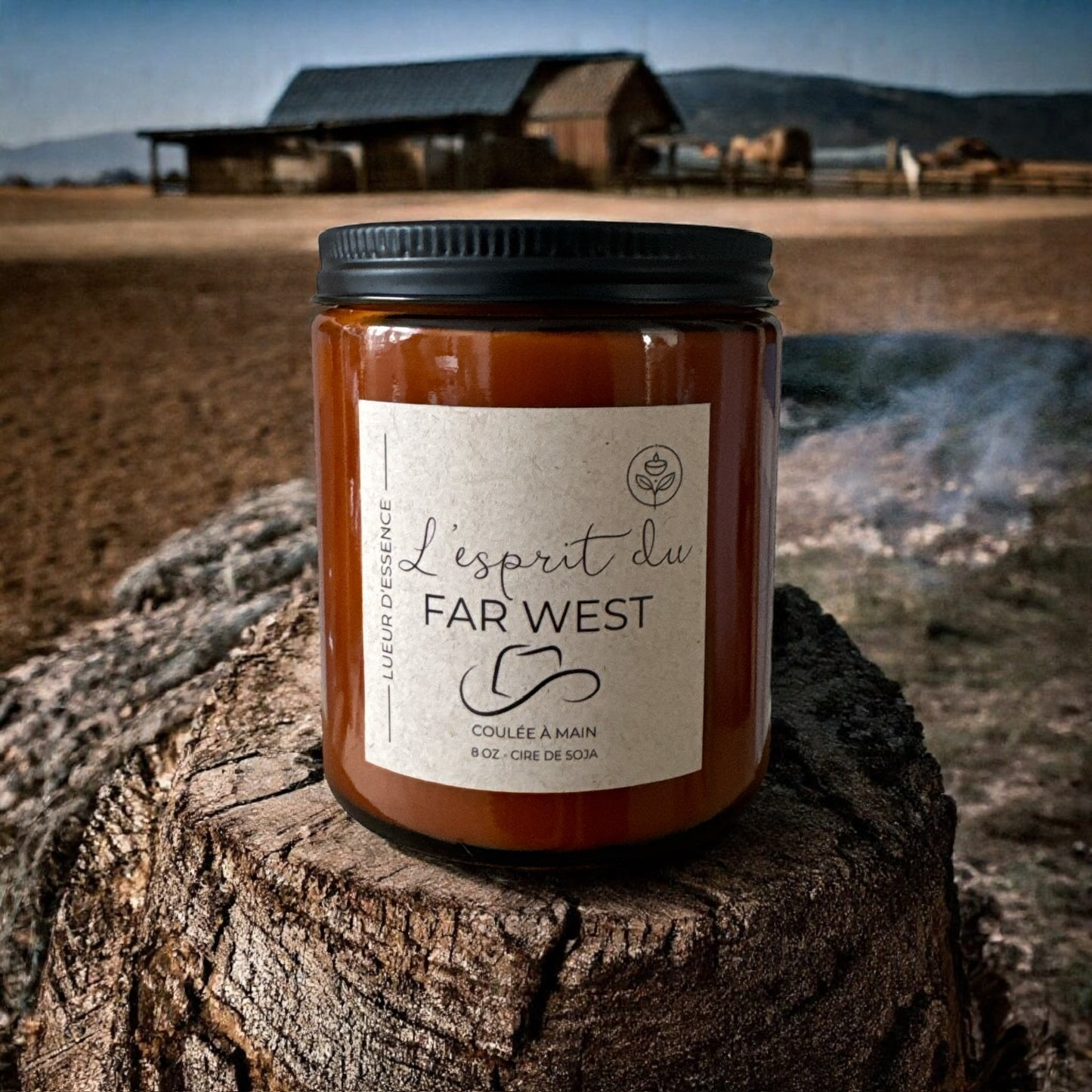 L'esprit du Far West