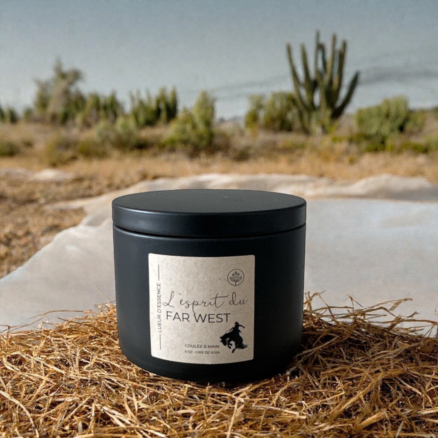 L'esprit du Far West