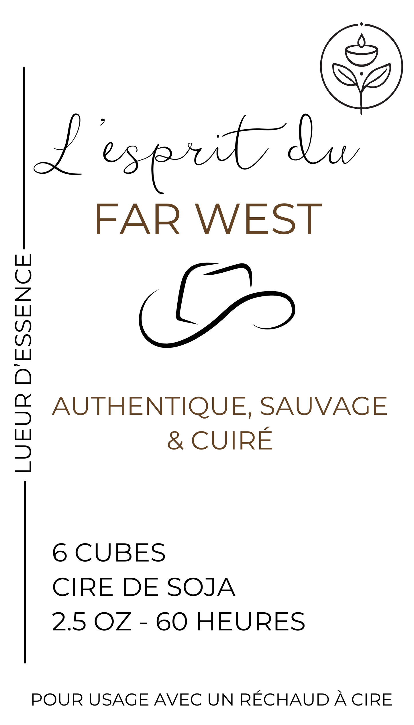 L'esprit du Far West