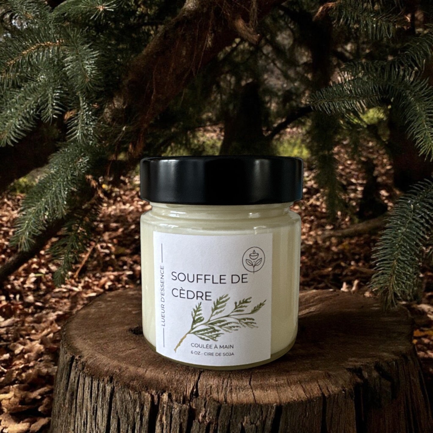Souffle de cèdre